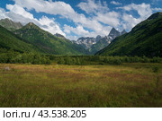 View of the floodplain of the Gonachkhir River in the northern foothills of the Caucasus Mountains near the village of Dombay on a sunny summer day, Karachay-Cherkessia, Russia. Стоковое фото, фотограф Ula Ulachka / Фотобанк Лори