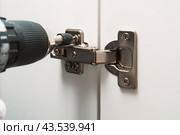 Сборка мебели и регулировка дверных петель с помощью шуруповерта. Стоковое фото, фотограф Viktoriya S. / Фотобанк Лори