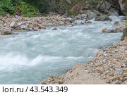 Река с чистой водой вытекает из горного ущелья. Экологически чистая вода стекает с ледника в горах. Природа в горах. Вид на горную реку летом. Стоковое фото, фотограф Эдуард Белкин / Фотобанк Лори