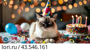 Grumpy Cat Wearing Party Hat at Birthday Celebration. Стоковое AI-изображение, AI-художник Юлия Гапеенко / Фотобанк Лори