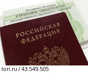 Паспорт гражданина РФ и СНИЛС. Стоковое фото, фотограф Ольга Дерябина / Фотобанк Лори