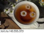Ромашковый чай. Стоковое фото, фотограф Татьяна Глебович / Фотобанк Лори