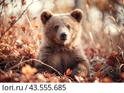 A cute little bear cub sitting among the autumn yellow foliage. Animal hunting. Poaching. Стоковое AI-изображение, AI-художник Photojuli / Фотобанк Лори