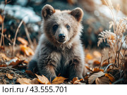 A cute little bear cub sitting among the autumn yellow foliage. Animal hunting. Poaching. Стоковое AI-изображение, AI-художник Photojuli / Фотобанк Лори