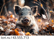 A cute little boar sitting among the autumn yellow foliage. Animal hunting. Стоковое AI-изображение, AI-художник Photojuli / Фотобанк Лори