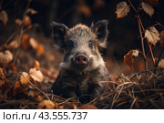 A cute little boar sitting among the autumn yellow foliage. Animal hunting. Стоковое AI-изображение, AI-художник Photojuli / Фотобанк Лори