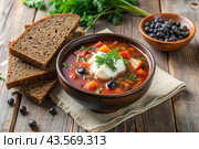 Combined meat hodgepodge with black bread and herbs in a ceramic tureen plate close-up. Стоковое AI-изображение, AI-художник Photojuli / Фотобанк Лори