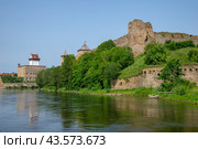 Река Нарова на границе России и Эстонии (2024 год). Стоковое фото, фотограф Анна Карасева / Фотобанк Лори