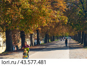 Лукка, Тоскана, городские стены Лукки (2018 год). Редакционное фото, фотограф Николай Алмаев / Фотобанк Лори