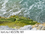 Поверхность моря. Морская фактура. Стоковое фото, фотограф Антонина Кудактина / Фотобанк Лори