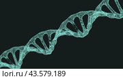 Human DNA .Biotechnology, biochemistry, genetics and medicine concept. Стоковое фото, фотограф Александр Трофимович / Фотобанк Лори