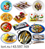 Collage of dishes with different seafood - sprat, hamsa, anchovy, sardines and others. Стоковое фото, фотограф Яков Филимонов / Фотобанк Лори