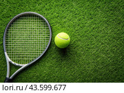 A yellow tennis ball and a tennis racket are lying on the lawn. A summer sport. Great tennis. Стоковое AI-изображение, AI-художник Photojuli / Фотобанк Лори