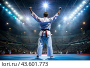 A karate athlete proudly raises his hands in the stadium in the light of spotlights and spotlights after becoming an Olympic champion. Стоковое AI-изображение, AI-художник Photojuli / Фотобанк Лори