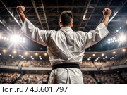 A karate athlete proudly raises his hands in the stadium in the light of spotlights and spotlights after becoming an Olympic champion. Стоковое AI-изображение, AI-художник Photojuli / Фотобанк Лори