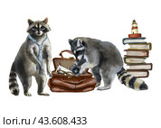 Two funny raccoons rummaging through a suitcase with things. Clipart without background. Watercolor illustration of travel, tourism, flights or cruise. Also suitable for design of a blog or postcards. Стоковая иллюстрация, иллюстратор Larisa Hamukova / Фотобанк Лори