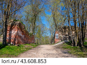Остатки стен старой крепости. Гдов, Псковская область (2023 год). Стоковое фото, фотограф Анна Карасева / Фотобанк Лори
