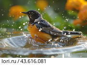 Black-Headed Grosbeak Bird Taking a Bath in a Water Fountain on a Sunny Day. Стоковое AI-изображение, AI-художник Сергей Толмачёв / Фотобанк Лори