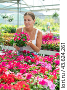 Portrait of satisfied woman with Vinca flowers in flower pot. Стоковое фото, фотограф Яков Филимонов / Фотобанк Лори