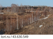 Долина Бармы. Весна в Сибири. Стоковое фото, фотограф Анатолий Матвейчук / Фотобанк Лори