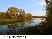 Река Нерль. Осенний пейзаж. (2019 год). Редакционное фото, фотограф Photolart / Фотобанк Лори