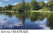 A horizontal panorama of the city's summer pond. Стоковое видео, видеограф Ярославский Максим / Фотобанк Лори
