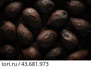 Old blackened spoiled brown avocados in - Beautiful dark black textured background, top view. Стоковое фото, фотограф Владимир Разгуляев / Фотобанк Лори