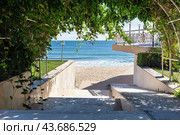 Проход к морю через тенистую арку, увитую зеленью. Красивый вид.  Access to the sea through a shady green arch. Beautiful view. Стоковое фото, фотограф Лариса Гордеева / Фотобанк Лори