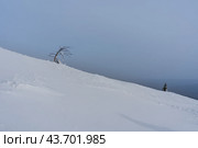 Парочка. Стоковое фото, фотограф Артур Ибрагимов / Фотобанк Лори