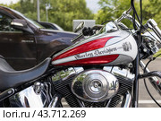 Harley Davidson motorcycles on the city street (2024 год). Редакционное фото, фотограф Андрей Иванов / Фотобанк Лори