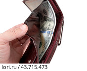 Раскрытый кошелек с американскими долларами на белом фоне. Wallet with dollars isolated on white background. Стоковое фото, фотограф Татьяна Д / Фотобанк Лори