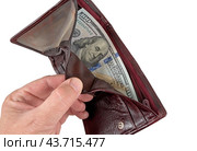 Раскрытый кошелек с американскими долларами на белом фоне. Wallet with dollars isolated on white background. Стоковое фото, фотограф Татьяна Д / Фотобанк Лори