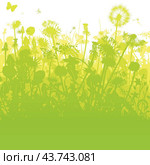 Dandelions in an overgrown, green garden. Стоковая иллюстрация, иллюстратор U Pixel / PantherMedia / Фотобанк Лори