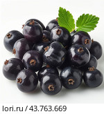 Fresh Black Currants Harvested From Organic Farm Displayed On White Surface. Стоковое AI-изображение, AI-художник Сергей Толмачёв / Фотобанк Лори