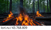 A fire in the forest.The beginning of a fire in the forest. Стоковое AI-изображение, AI-художник Александр Поташев / Фотобанк Лори