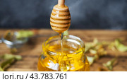 Golden liquid honey. Fresh honey collected on the grass. Стоковое фото, фотограф Глущенко Елена / Фотобанк Лори