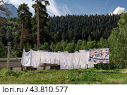 Бельё сушится на верёвках на фоне леса и гор. Стоковое фото, фотограф Евгений Зимин / Фотобанк Лори