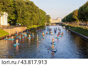 Сапсерфинг, раннее утро, Санкт-Петербург (2024 год). Редакционное фото, фотограф Головкова Елена / Фотобанк Лори