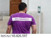 Надпись WILDBERRIES на фиолетовой футболке (2024 год). Редакционное фото, фотограф Лариса Гордеева / Фотобанк Лори