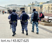 Москва, сотрудники ОМОН на Манежной площади в Москве в марте. Редакционное фото, фотограф Овчинникова Ирина / Фотобанк Лори