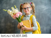 A sweet, beautiful first-grader girl with glasses. In the hands of a bouquet of flowers. The child goes to school for the first time. A child with a backpack, a book and flowers. Back to school. Стоковое AI-изображение, AI-художник Photojuli / Фотобанк Лори