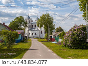 Кармелитский костёл (Костёл Вознесения Девы Марии). Мстиславль, Могилевская область. Беларусь (2024 год). Стоковое фото, фотограф Сергей Афанасьев / Фотобанк Лори