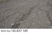 Uneven asphalt, crushed stone-mastic layer, road, holes не ровный асфальт, щебеночный-мастичный слой,  дорога, ямы. Стоковое видео, видеограф Опока Алексей / Фотобанк Лори