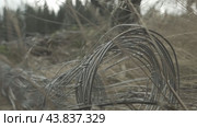 Iron rebar in dry grass железная арматура в сухой траве. Стоковое видео, видеограф Опока Алексей / Фотобанк Лори