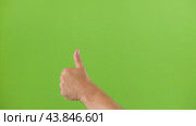 Like Gesture Hand Sign Emoji. Male Hand Showing Thumb Up Isolated Chroma Key Green Screen Background. Body Language. Close Up. Concept of Victory and Award. Support, Success, Vote Yes, Winning Goal. Стоковое видео, видеограф Марина Демидюк / Фотобанк Лори