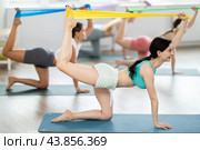 Girl leads class women, standing on all fours, performing exercises with wide elastic skip rope. Стоковое фото, фотограф Яков Филимонов / Фотобанк Лори