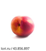 A smooth red peach on a white background. Rear view. Стоковое фото, фотограф Ярославский Максим / Фотобанк Лори