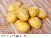 Closeup of fresh organic yellow potatoes on wooden table. Стоковое фото, фотограф Яков Филимонов / Фотобанк Лори