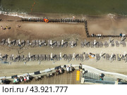 Вид сверху на городской пляж и променад вдоль Балтийского моря в городе Светлогорске Калининградской области, Россия (2024 год). Редакционное фото, фотограф Николай Винокуров / Фотобанк Лори