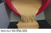 Red Hopper Pouring Yellow Granules Into Black Mat. Стоковое видео, видеограф Гурьянов Андрей / Фотобанк Лори